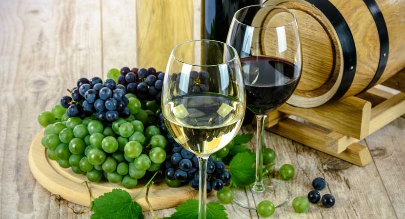 Vignobles